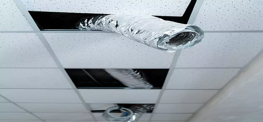 Our Air Duct Pet Hair Removal Services in New Bedford, MA