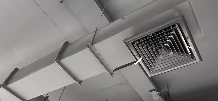 Our Rodent Droppings In Vents Services in New Bedford, MA