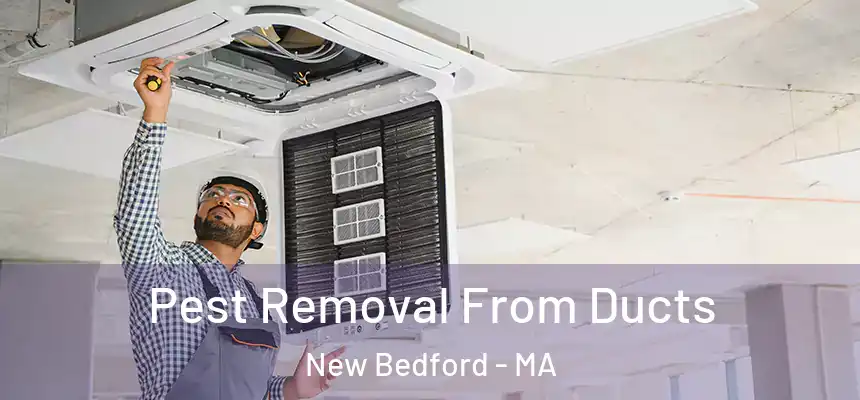 Pest Removal From Ducts New Bedford - MA