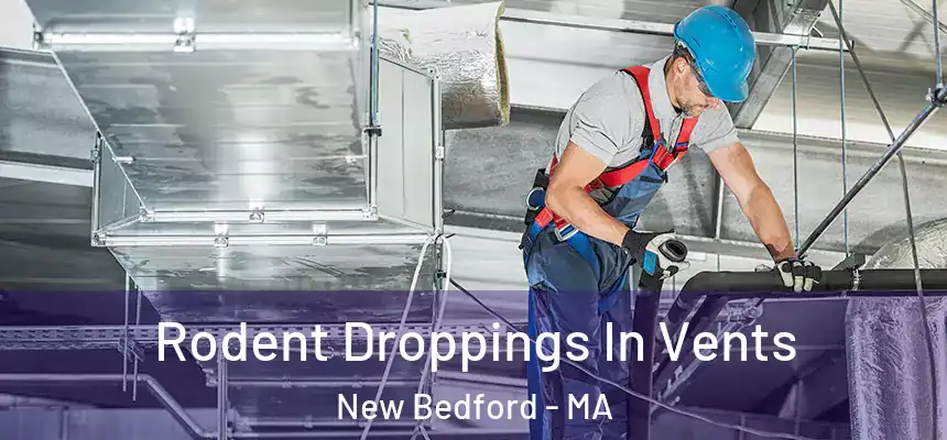  Rodent Droppings In Vents New Bedford - MA