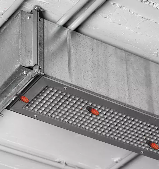 About Air Duct Cockroach Removal in New Bedford, MA