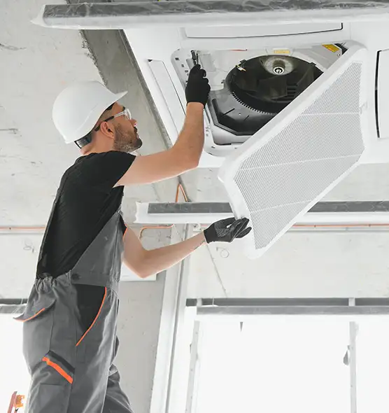 About Air Duct Rodent Removal in New Bedford, MA