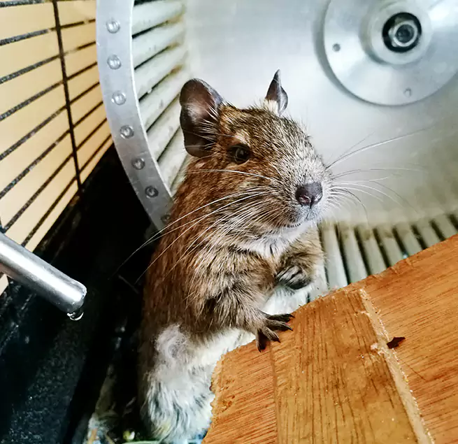 Why Homeowners & Businesses Trust Us New Bedford, MA