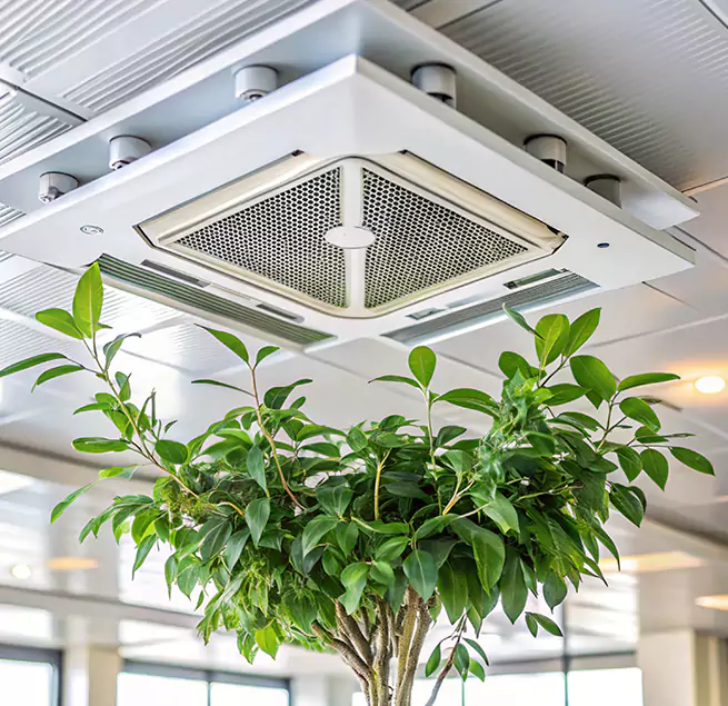 Why Homeowners & Businesses Trust Us in New Bedford, MA?