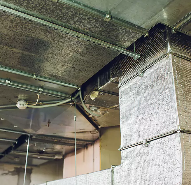 Why Homeowners & Businesses Trust Us in New Bedford, MA?